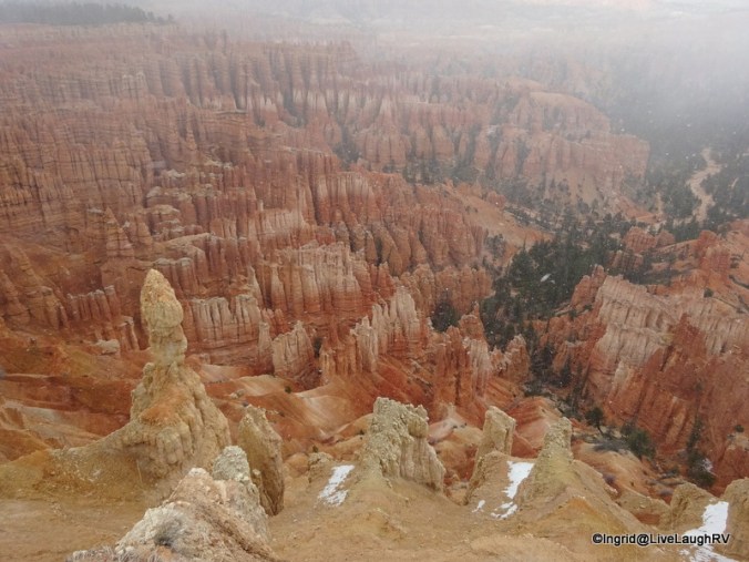 Yes, it's snowing. The flakes were big, the wind was blowing, but the view was breathtaking. 