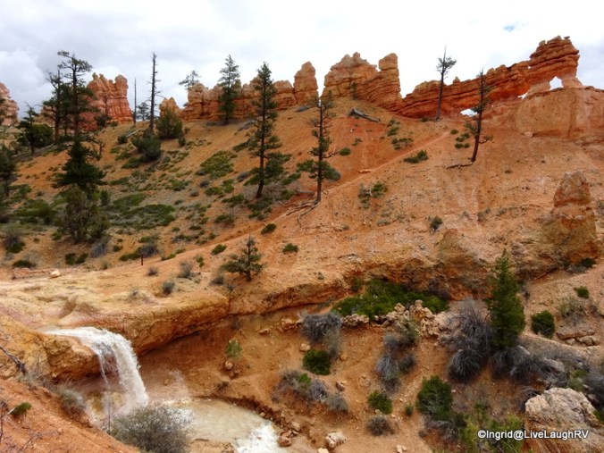 Mossy Cave and Waterfall trail