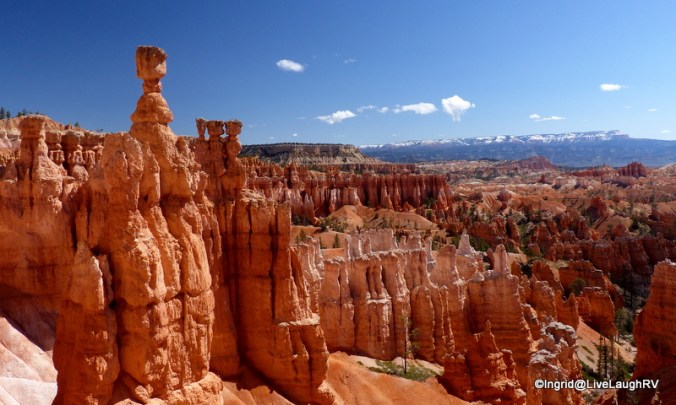 Bryce Canyon