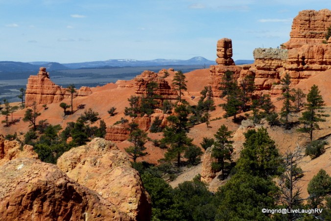 hiking Red Canyon was a delight
