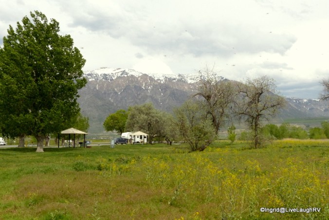 Note all the bugs in this photo. Traipsing through the tall grasses for photo-ops was probably not my smartest move. I left with more bug bites than photos :-(