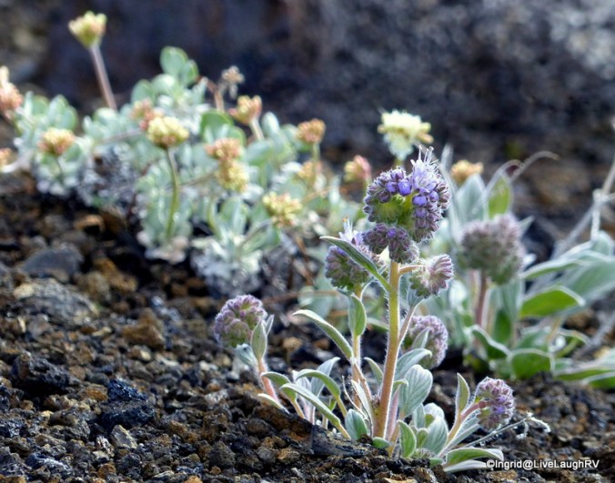 finding beauty in the smaller things