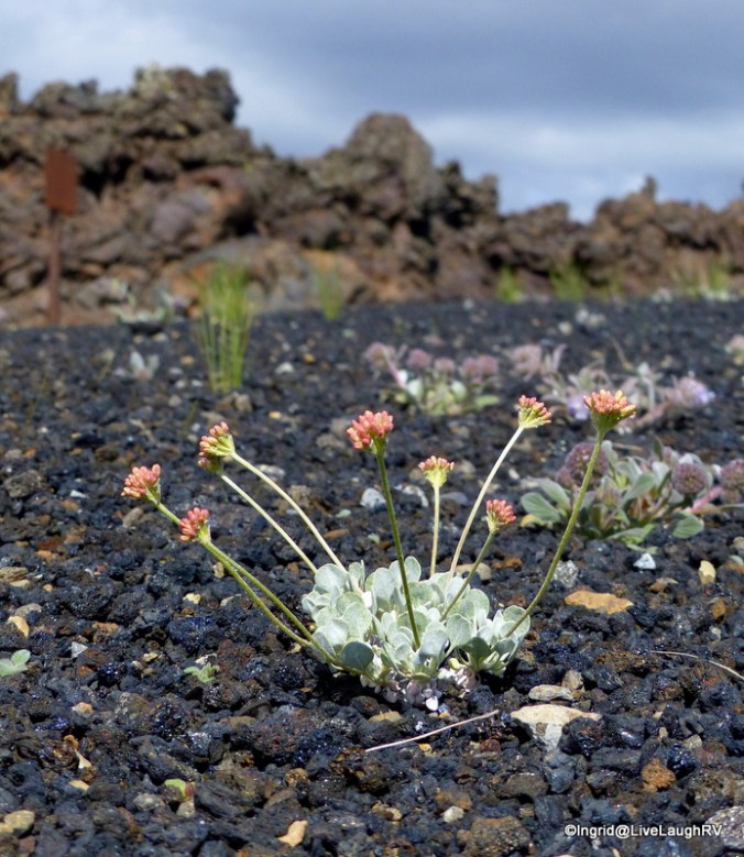 beauty abounds when we open our eyes