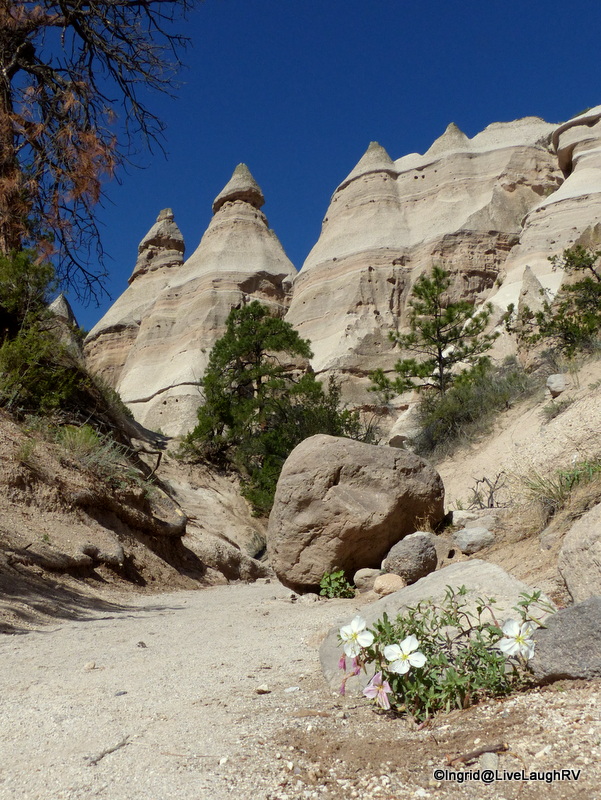 Hiking at Kasha-Katuwe NM had me feeling relaxed and renewed