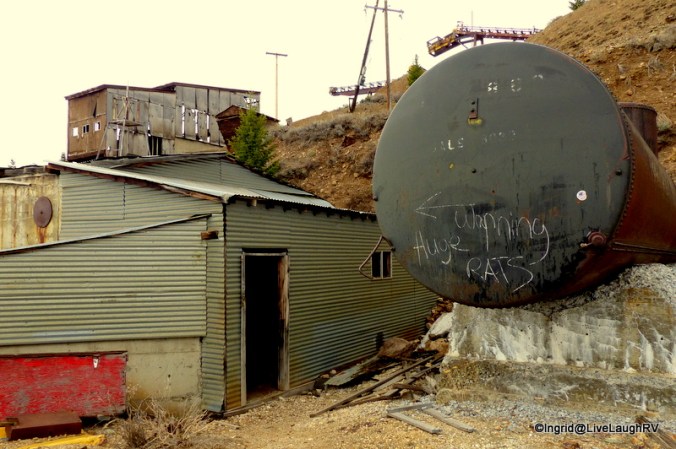 I was tempted to step into the building BUT first off, this is private property and second, note the scribble on the black tank. I wasn't interested in seeing that kind of wildlife!