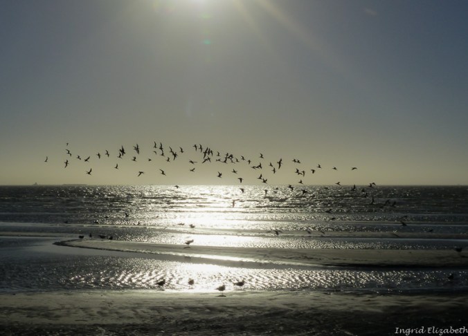 Rockport Beach