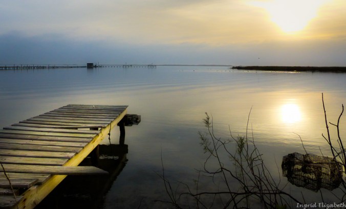 Gulf Coast