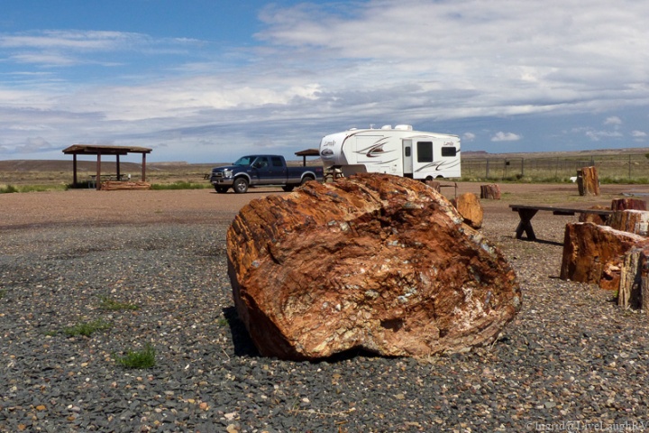 RVing at the Petrified National Park