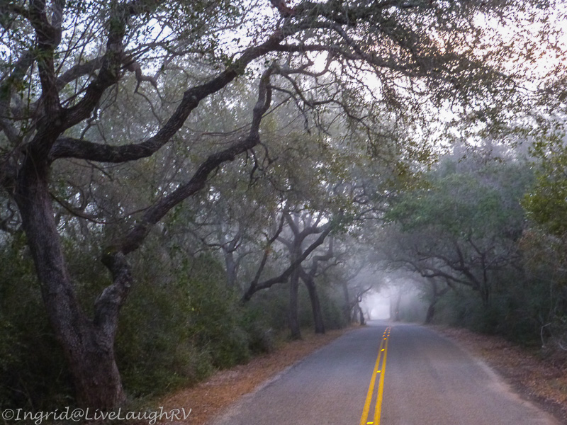 Light at the end of the tunnel