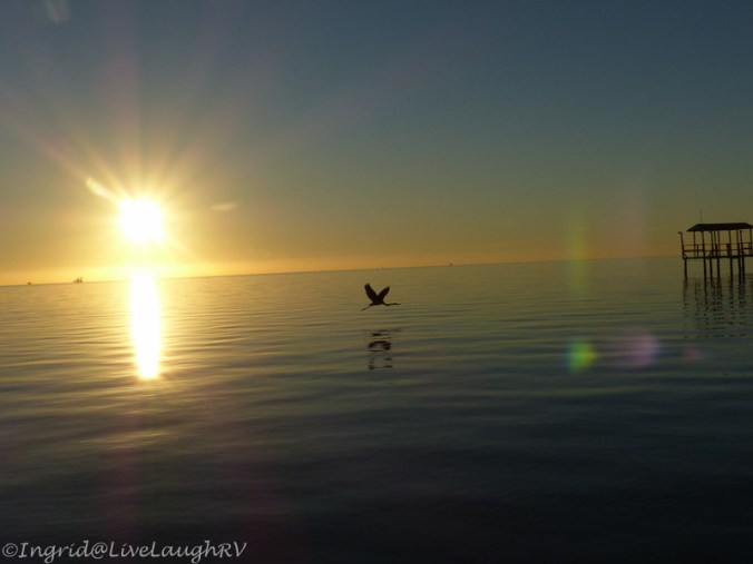 sunrise