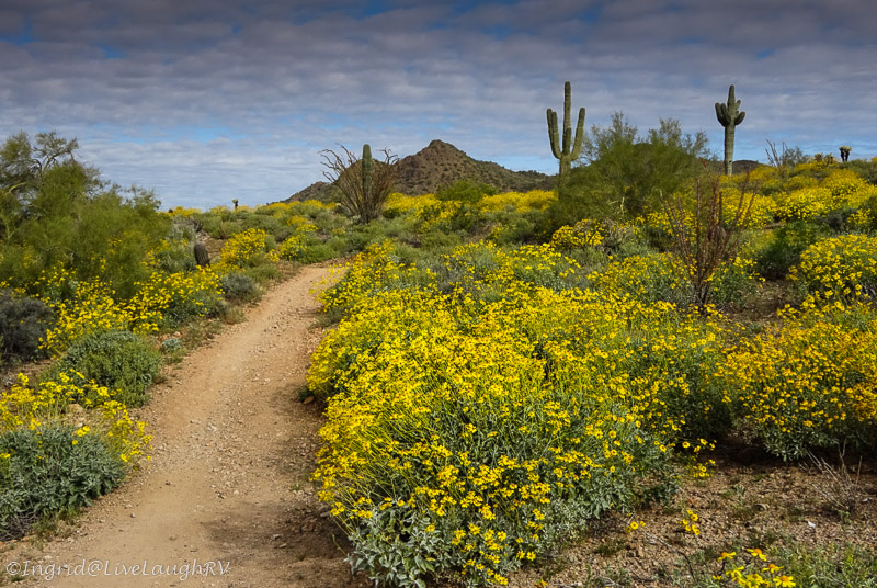 Phoenix, AZ