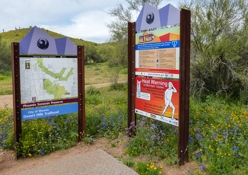 Sonoran Preserve