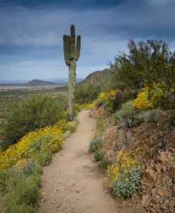 hiking in Phoenix