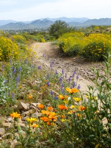 hiking