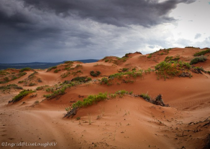 Coral Pink Sand Dunes