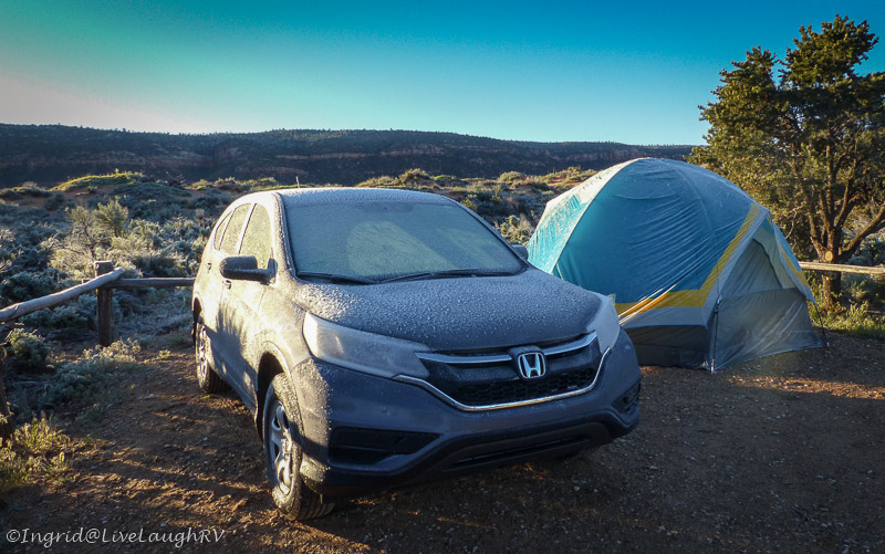 Coral Pink Sand Dunes