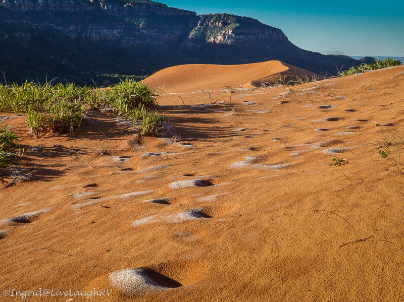 Coral Pink Sand Dunes