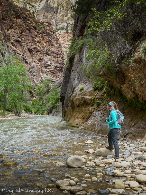 The Narrows Zion National Park