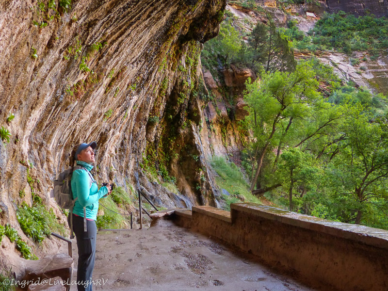 Weeping Rock Zion National Park
