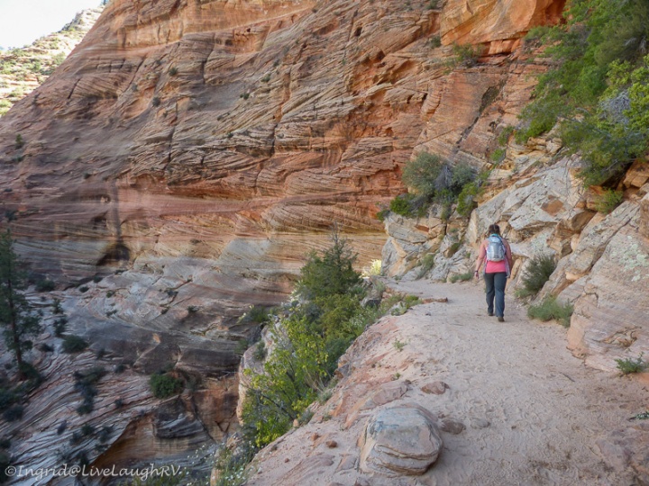 hiking in Zion