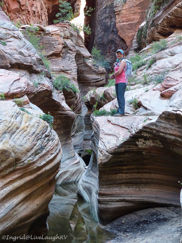 slot canyon Zion National Park
