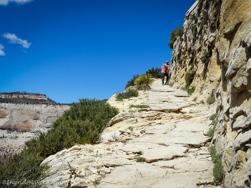 hiking in Zion