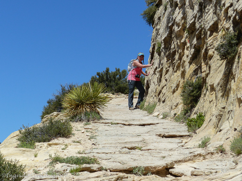 hiking zion national park