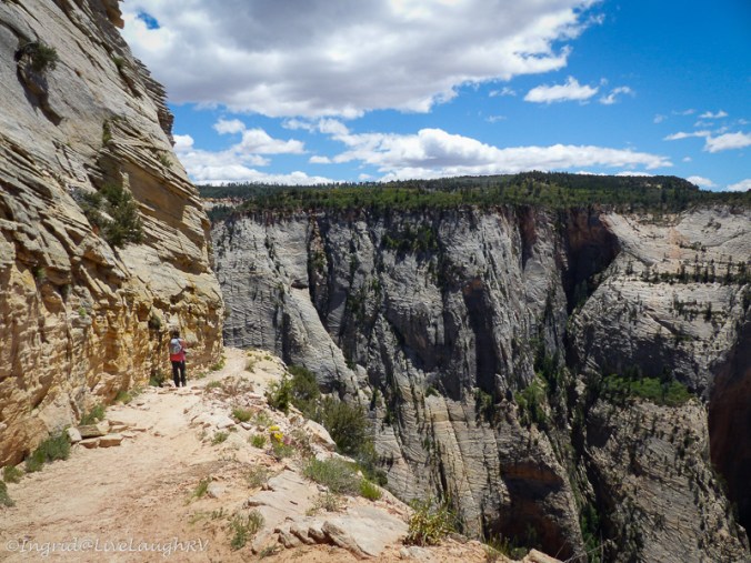 Zion national park hiking