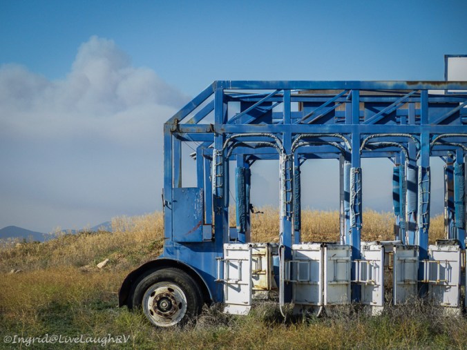 Horse racing in Arizona