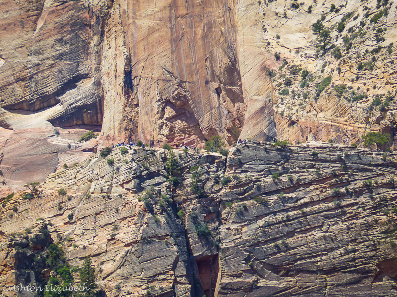 hiking zion national park