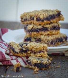 Blueberry Oatmeal Squares