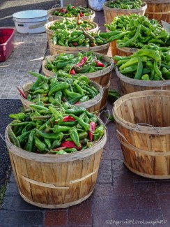 Santa Fe peppers and chili's