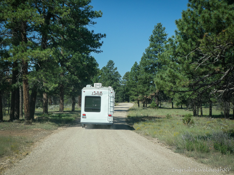 Kaibab National Forest