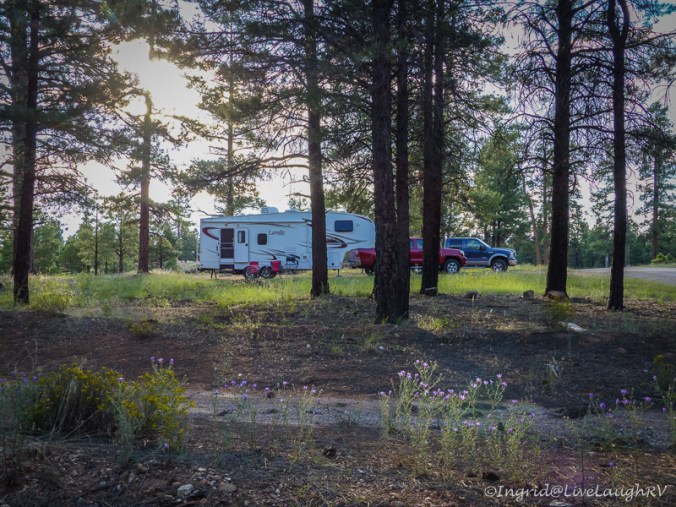 camping in Kaibab National Forest