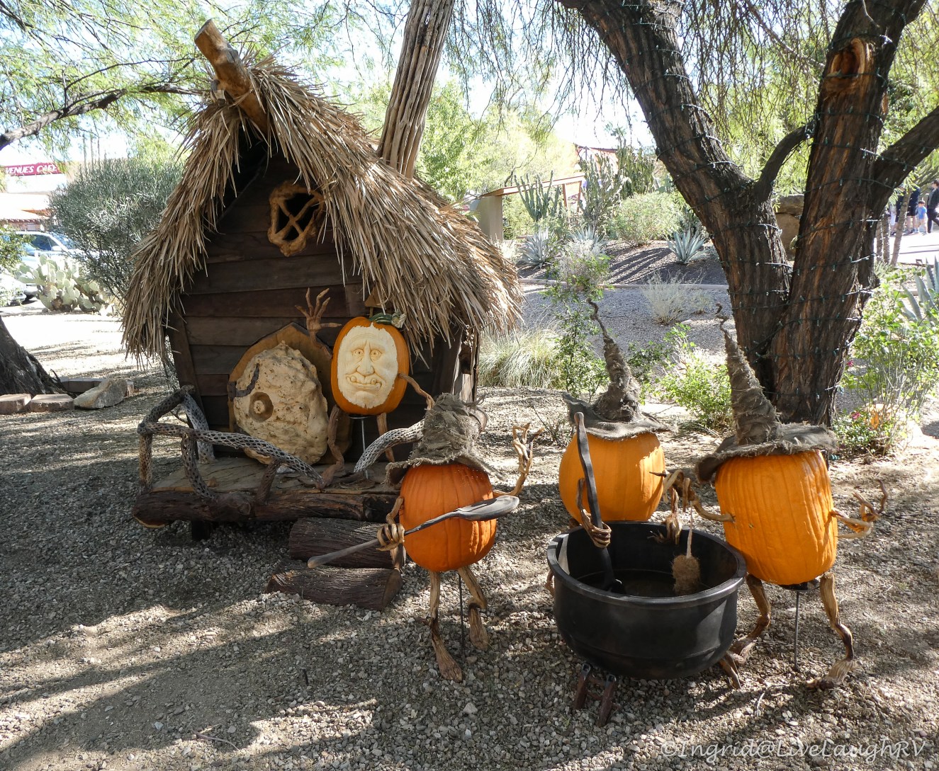 sharing a dish to pass