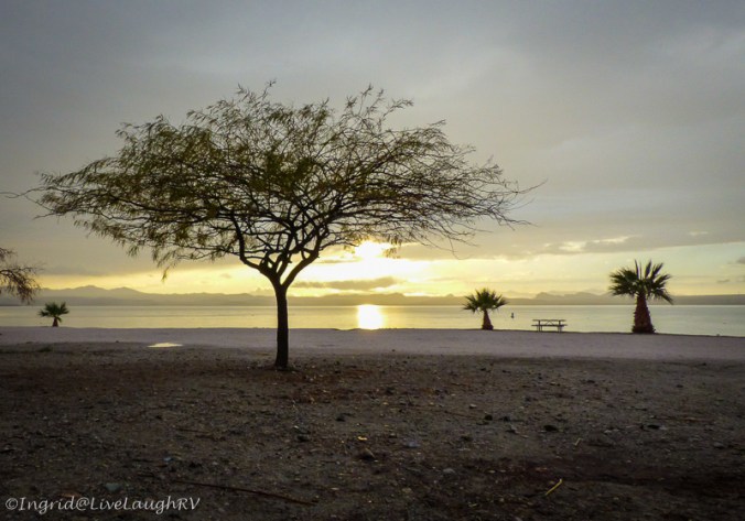 Lake Havasu State Park