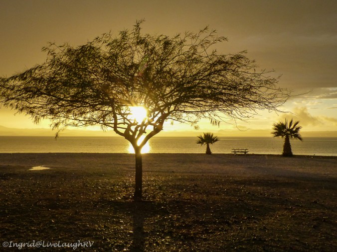 sunset at Lake Havasu State Park