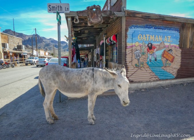 Oatman, Arizona