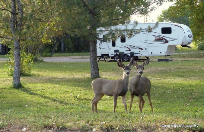 Cherry Creek, Colorado