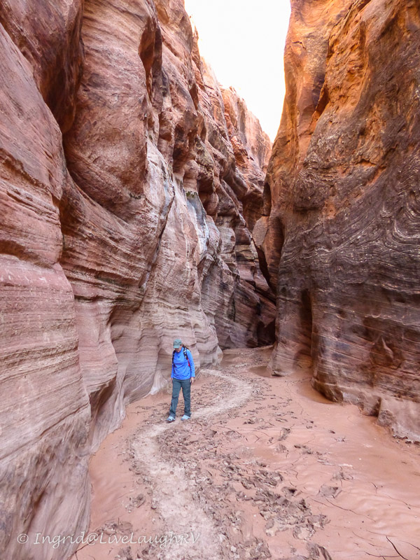 Buckskin Gulch