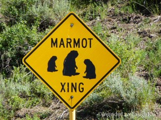 Crested Butte Colorado