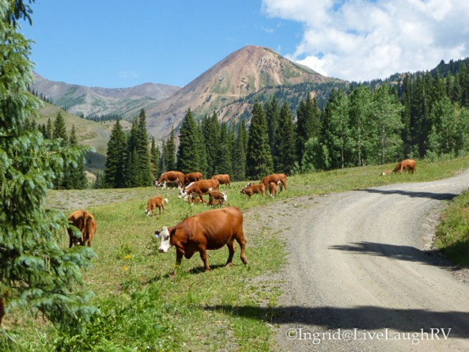 Crested Butte backcountry 4x4