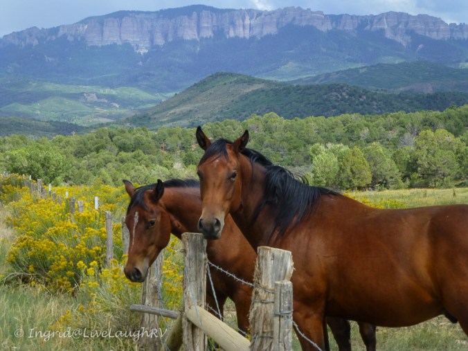 Ranches near Ridgway Colorado
