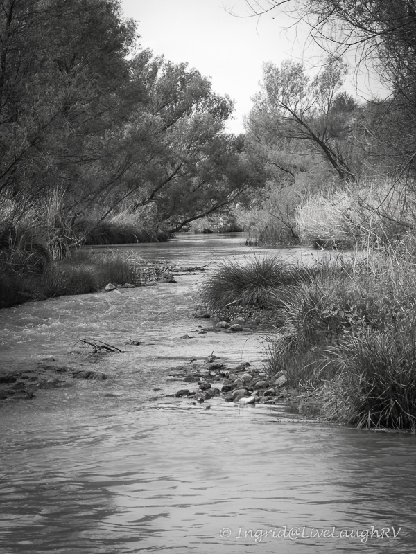 Black and White photography of Verde River near Cottonwood Arizona