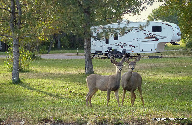 RV extended warranties