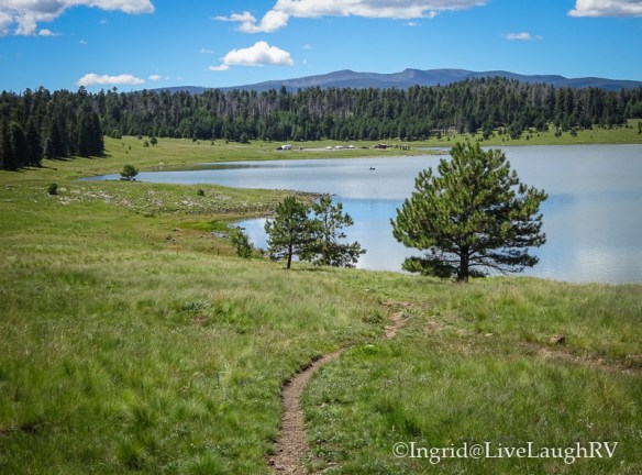 White Mountains in eastern Arizona