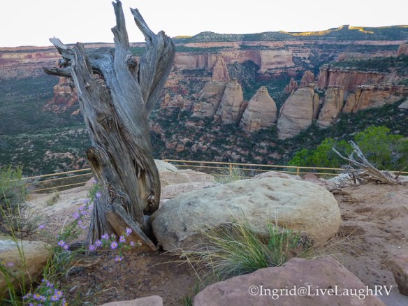 Colorado National Monument Grand Junction Colorado