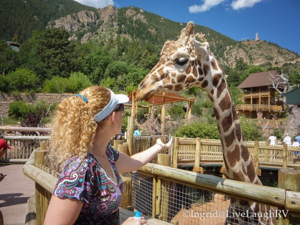 Cheyenne Mountain Zoo Colorado Springs Colorado
