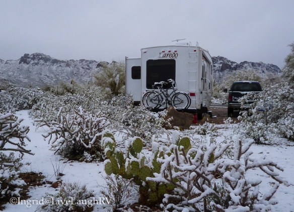 camping in Tucson Arizona