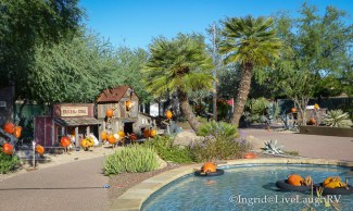 pumpkin patch Phoenix Arizona